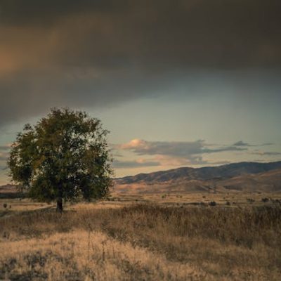 A Day with Jesus in the Wilderness