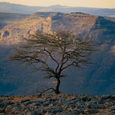 A DAY WITH JESUS IN THE WILDERNESS